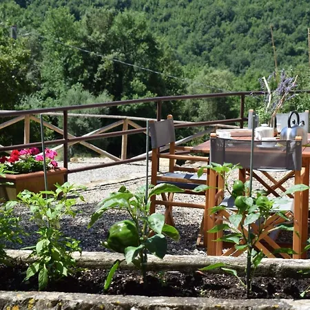 Tenuta Della Selva Lägenhetshotell Murlo